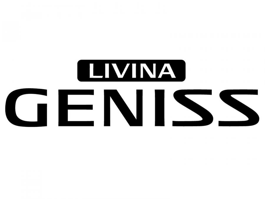  Nissan DongFeng Livina Geniss 2006 года  (CN) (фото 2 из 28)